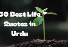 30 Best Life Quotes in Urdu
